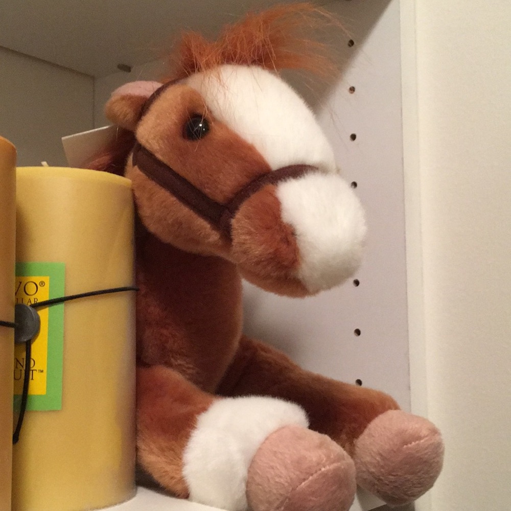 Meet your Posher, Julie